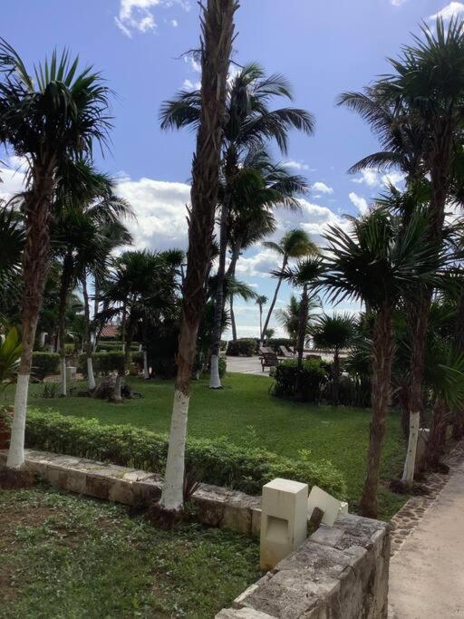 Oceanview & Beach Access 3805 Cancún Buitenkant foto